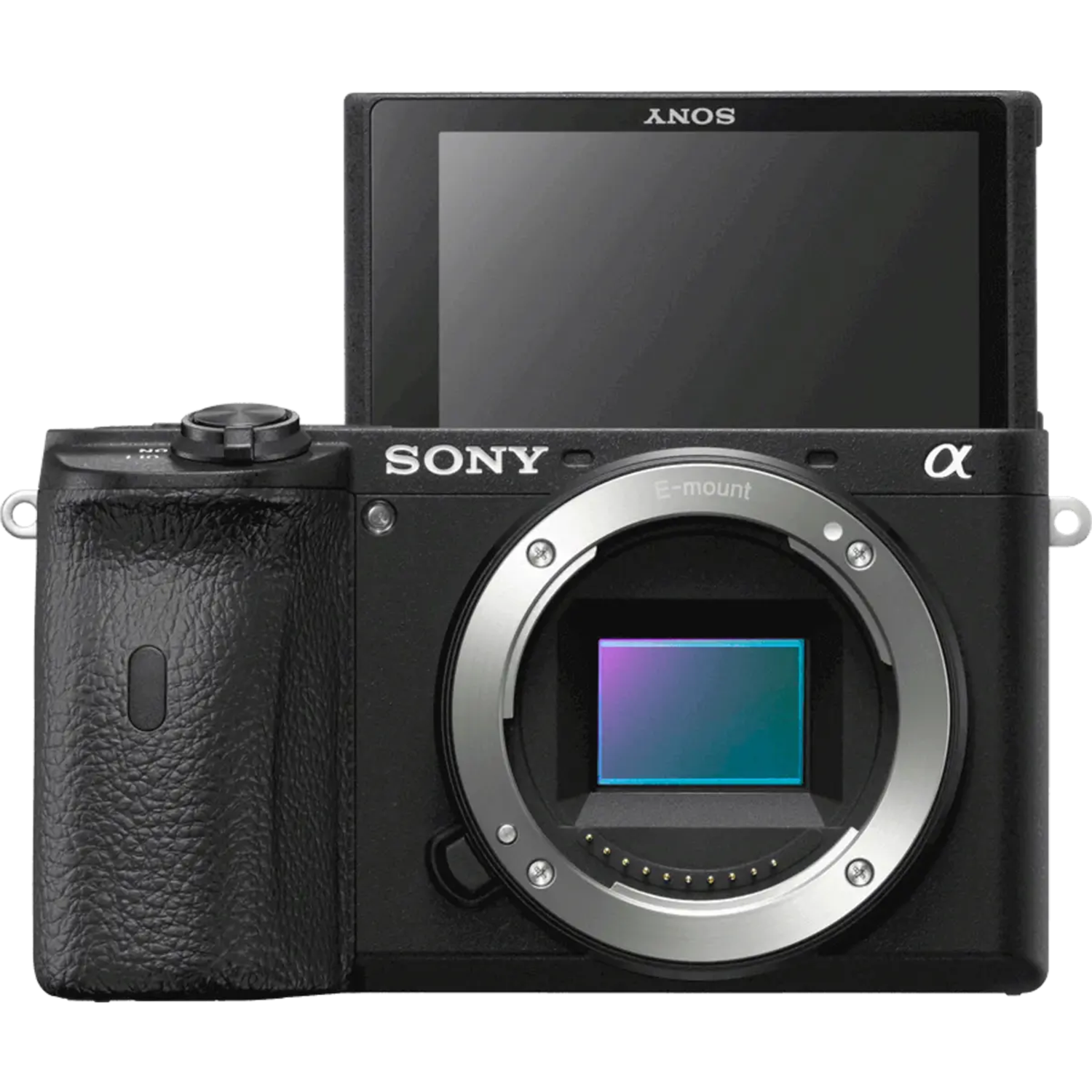 Sony Alpha A6600