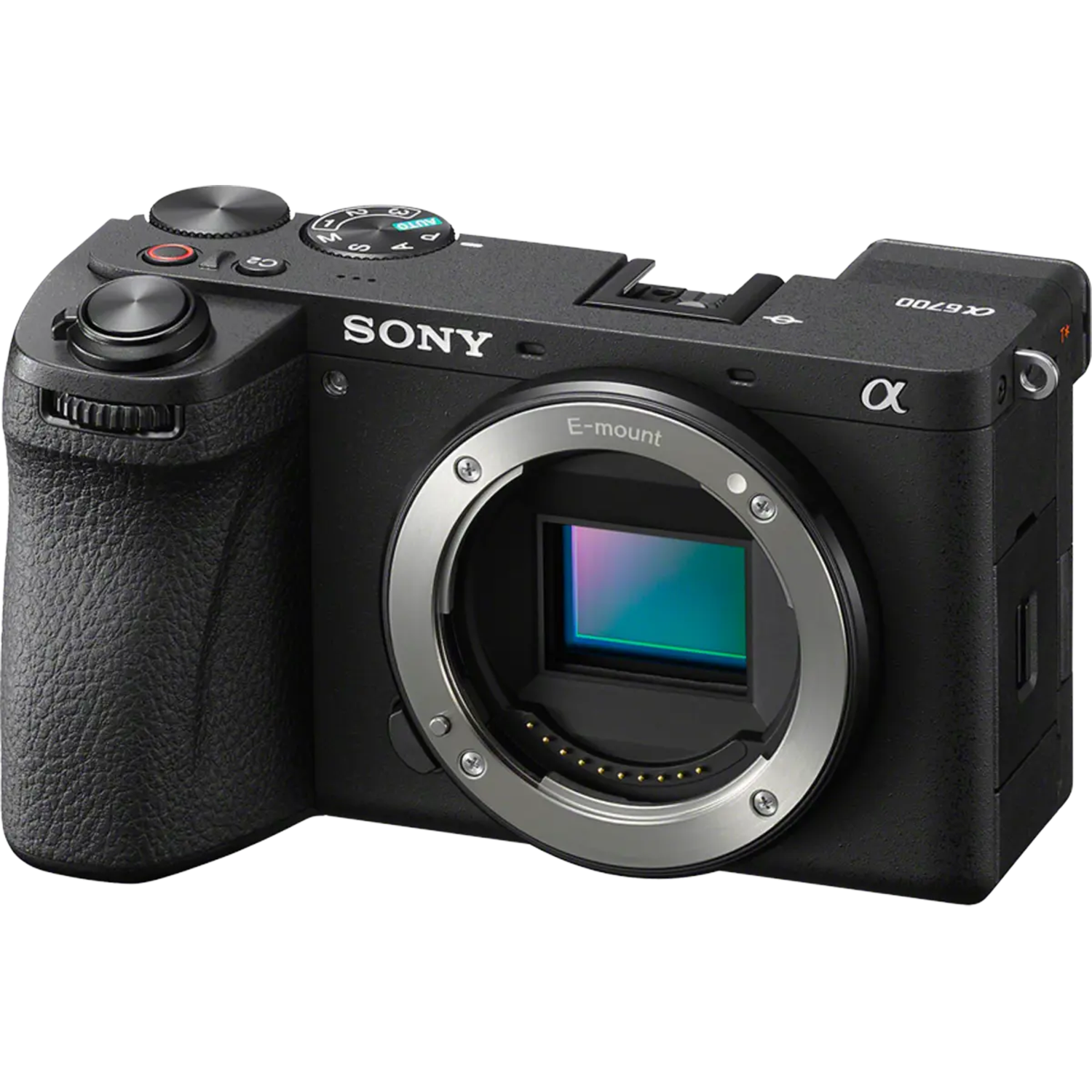 Sony Alpha 6700 - Image 8